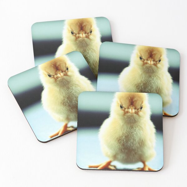 Item preview, Angry chick designed and sold by Madventures South Australia.