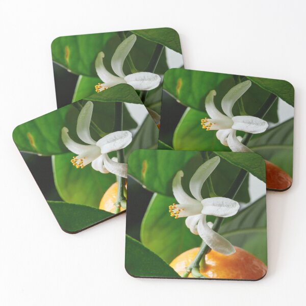 Item preview, Flowers and mandarins 1 designed and sold by Jouko Lehto Photography.