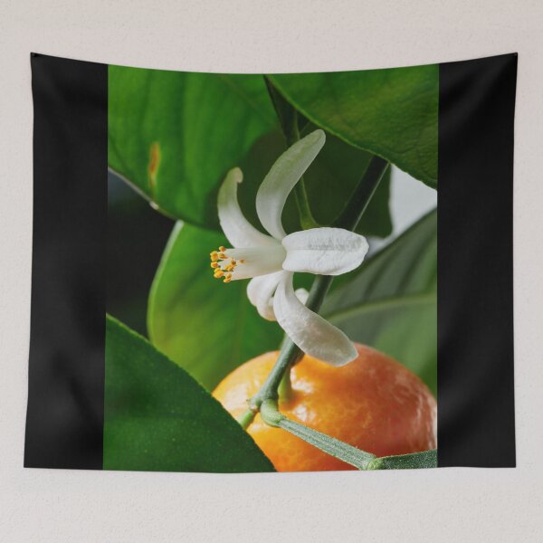 Item preview, Flowers and mandarins 1 designed and sold by Jouko Lehto Photography.