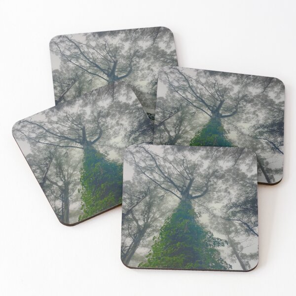 Item preview, Green Foliage vine growing on Australian Tree  designed and sold by kookakate.