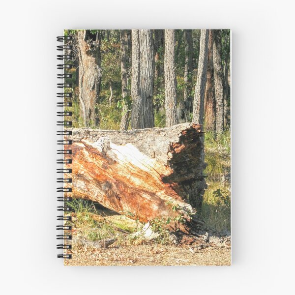 Item preview, Fallen Tree designed and sold by eidann.