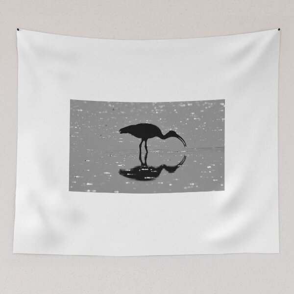 Item preview, African sacred ibis designed and sold by pietrofoto.
