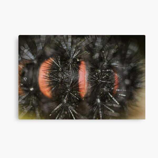 Item preview, Prickly Caterpillar  designed and sold by Wviolet28.