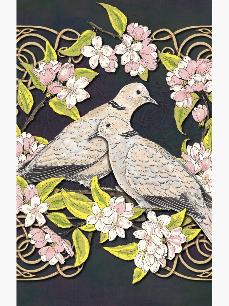 Celtic Collared Doves in Blossom by lottibrown