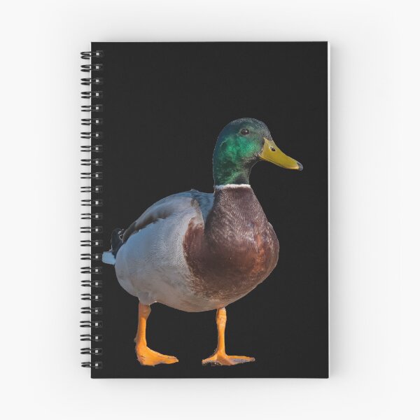 Item preview, Mallard, drake designed and sold by Ingo Gerlach.