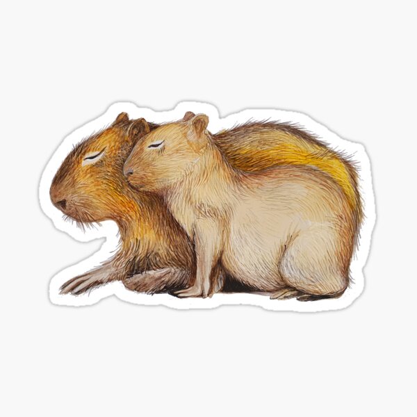 Cute Baby and Mom Capybara Sticker