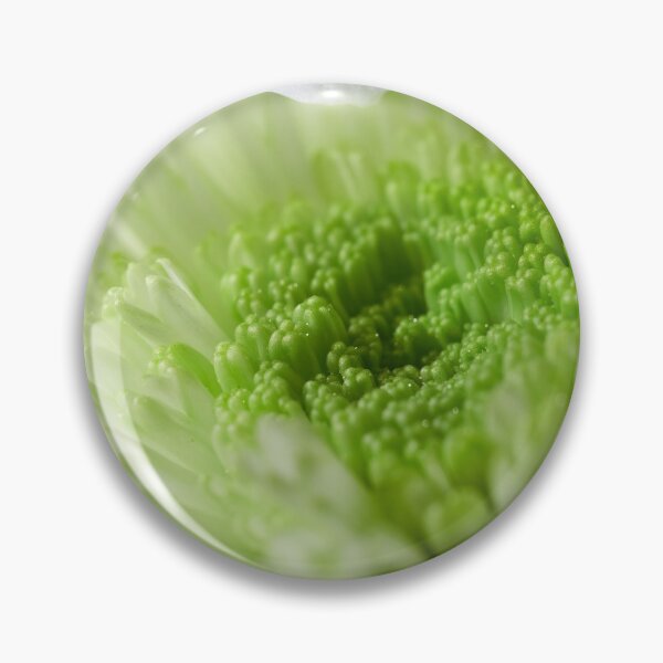 Item preview, Chrysanths White  and green designed and sold by Jouko Lehto Photography.