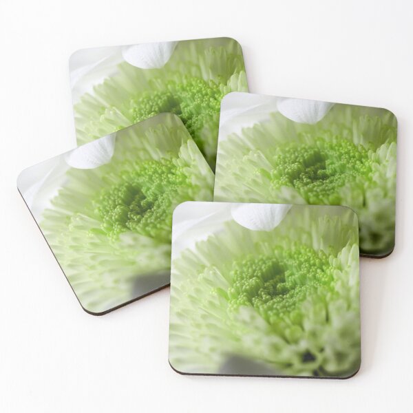 Item preview, Chrysanths White  and green designed and sold by Jouko Lehto Photography.
