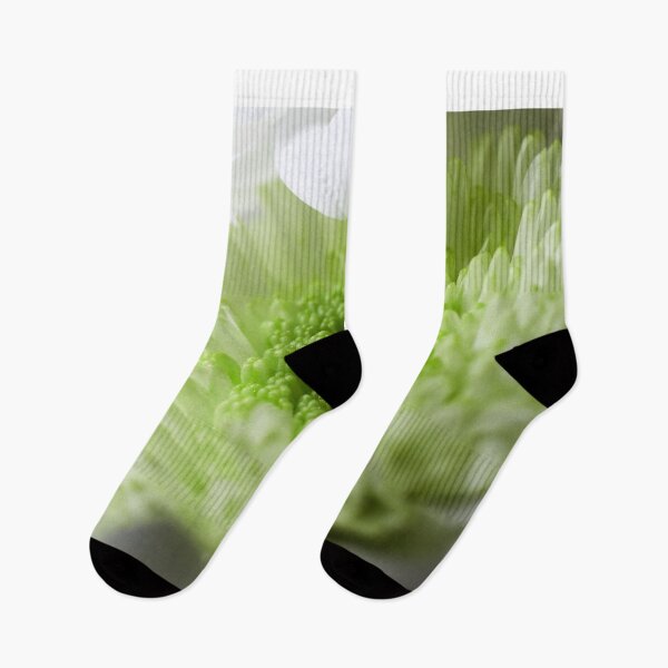 Item preview, Chrysanths White  and green designed and sold by Jouko Lehto Photography.