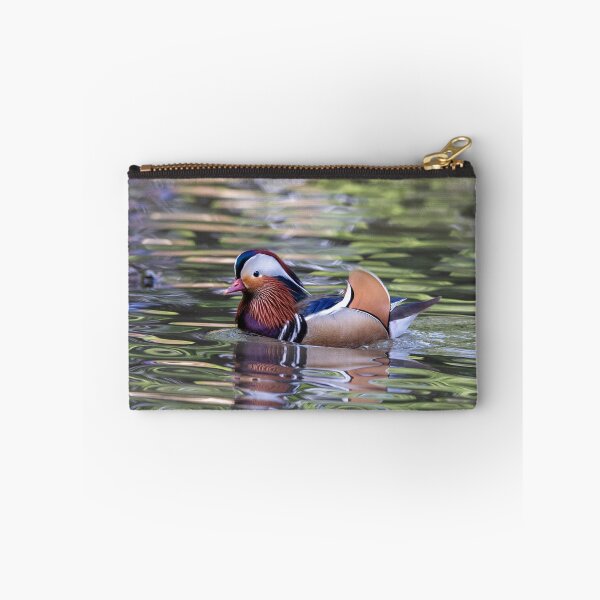 Item preview, Mandarin duck designed and sold by pietrofoto.