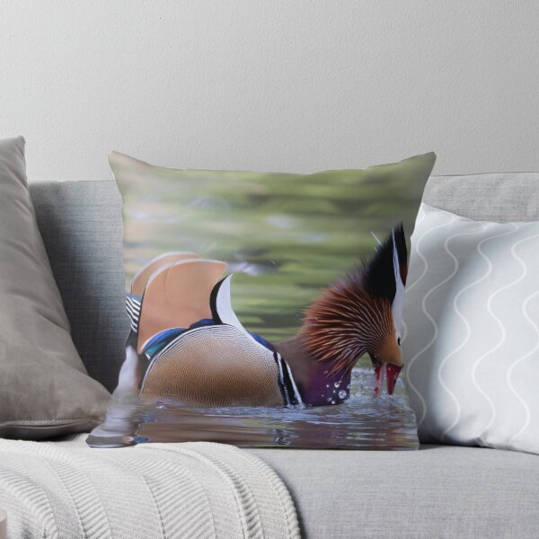 Item preview, Mandarin duck designed and sold by pietrofoto.