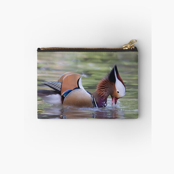 Item preview, Mandarin duck designed and sold by pietrofoto.