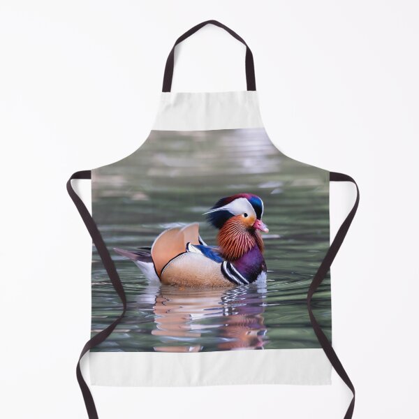 Aperçu de l'œuvre canard mandarin créée et vendue par pietrofoto.
