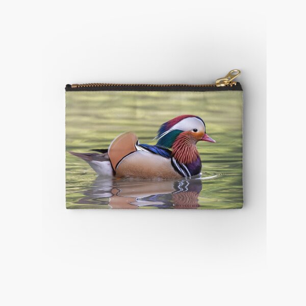 Item preview, Mandarin duck designed and sold by pietrofoto.
