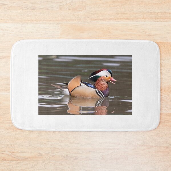 Item preview, Mandarin duck designed and sold by pietrofoto.