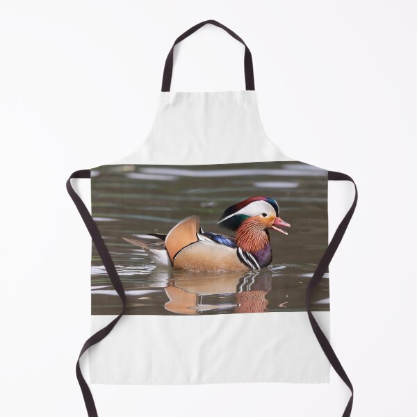 Aperçu de l'œuvre canard mandarin créée et vendue par pietrofoto.