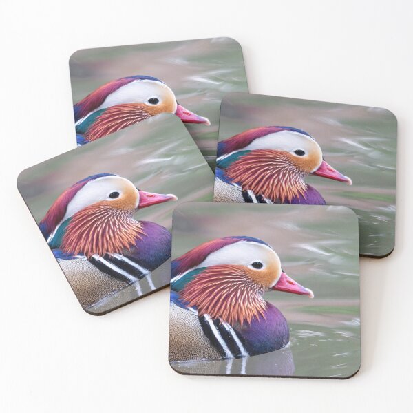 Item preview, Mandarin duck closeup designed and sold by pietrofoto.
