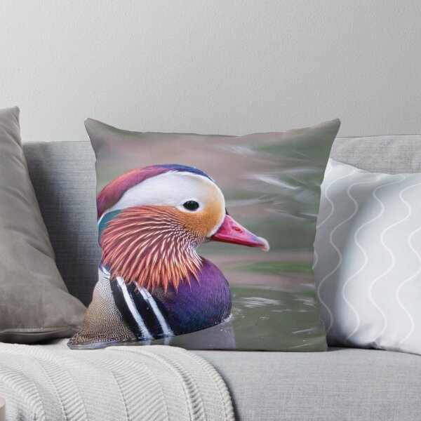 Item preview, Mandarin duck closeup designed and sold by pietrofoto.