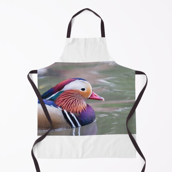 Item preview, Mandarin duck closeup designed and sold by pietrofoto.