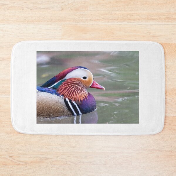 Artikelvorschau, Mandarin Ente Nahaufnahme entworfen und verkauft von pietrofoto.