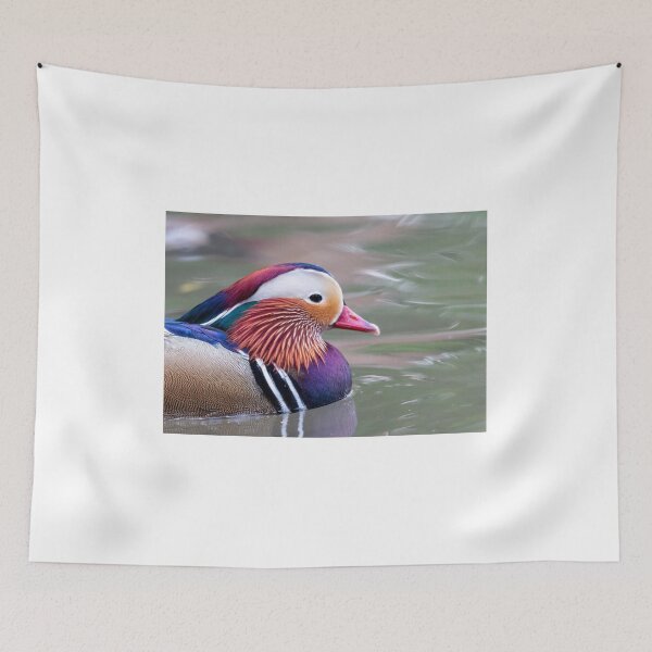 Item preview, Mandarin duck closeup designed and sold by pietrofoto.