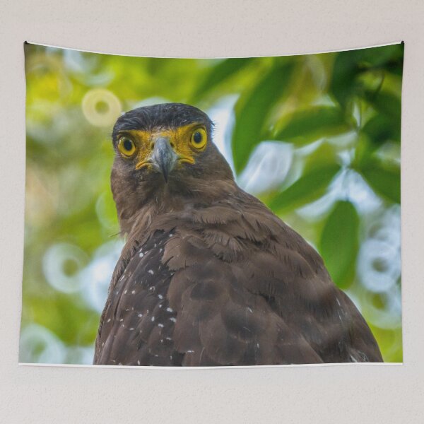 Item preview,  Crested Serpent Eagle designed and sold by David ST Loh Images.
