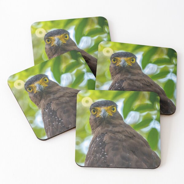 Item preview,  Crested Serpent Eagle designed and sold by David ST Loh Images.