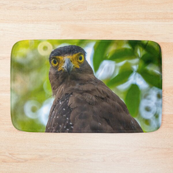 Item preview,  Crested Serpent Eagle designed and sold by David ST Loh Images.