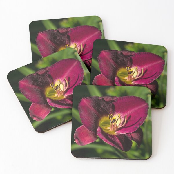 Item preview, Rich Maroon Velvet - One Glorious Daylily Bloom designed and sold by Georgia Mizuleva.