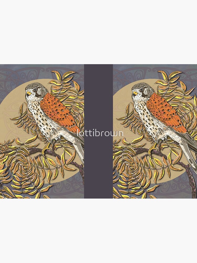 Celtic Kestrel by lottibrown