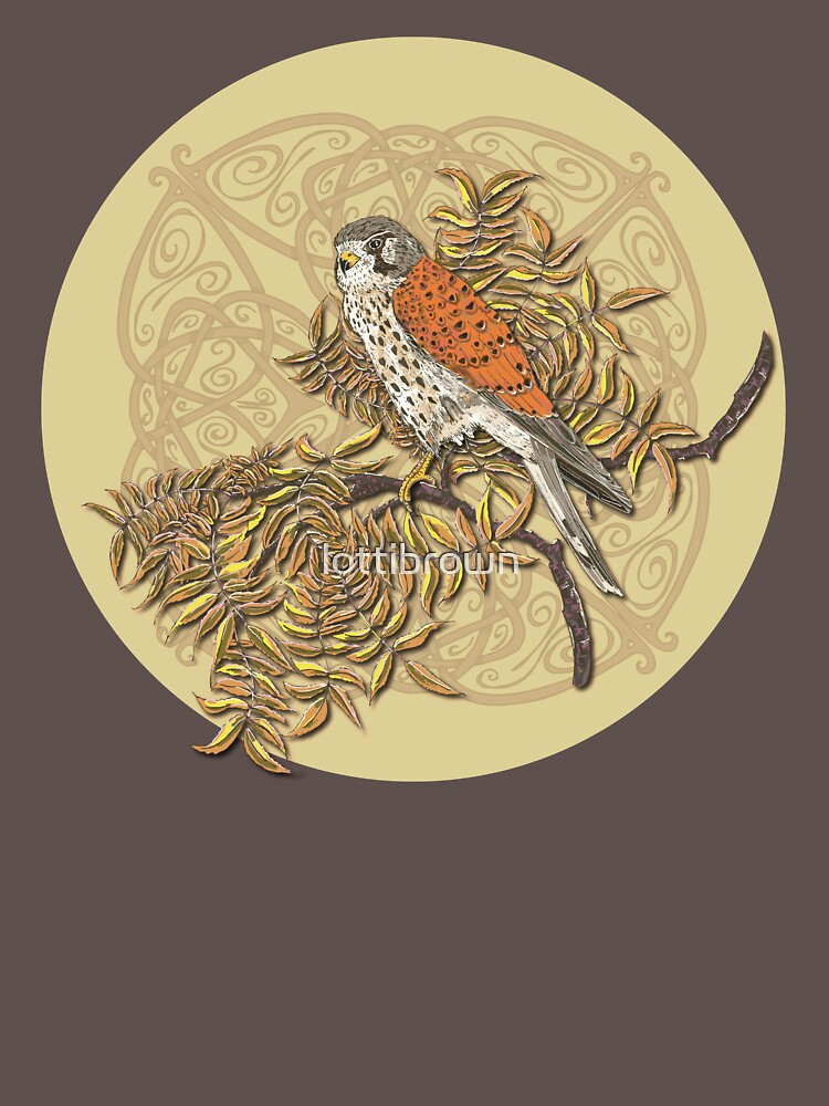 Celtic Kestrel by lottibrown