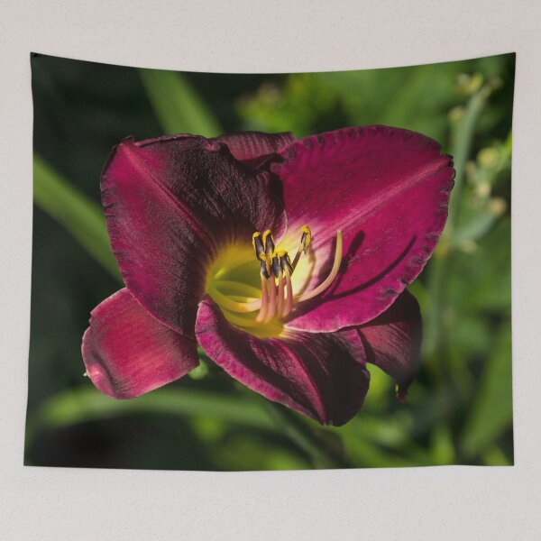 Item preview, Rich Maroon Velvet - One Glorious Daylily Bloom designed and sold by Georgia Mizuleva.