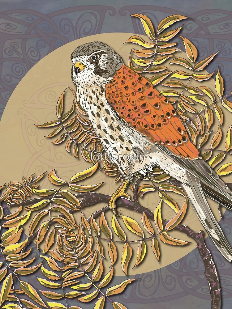 Celtic Kestrel by lottibrown