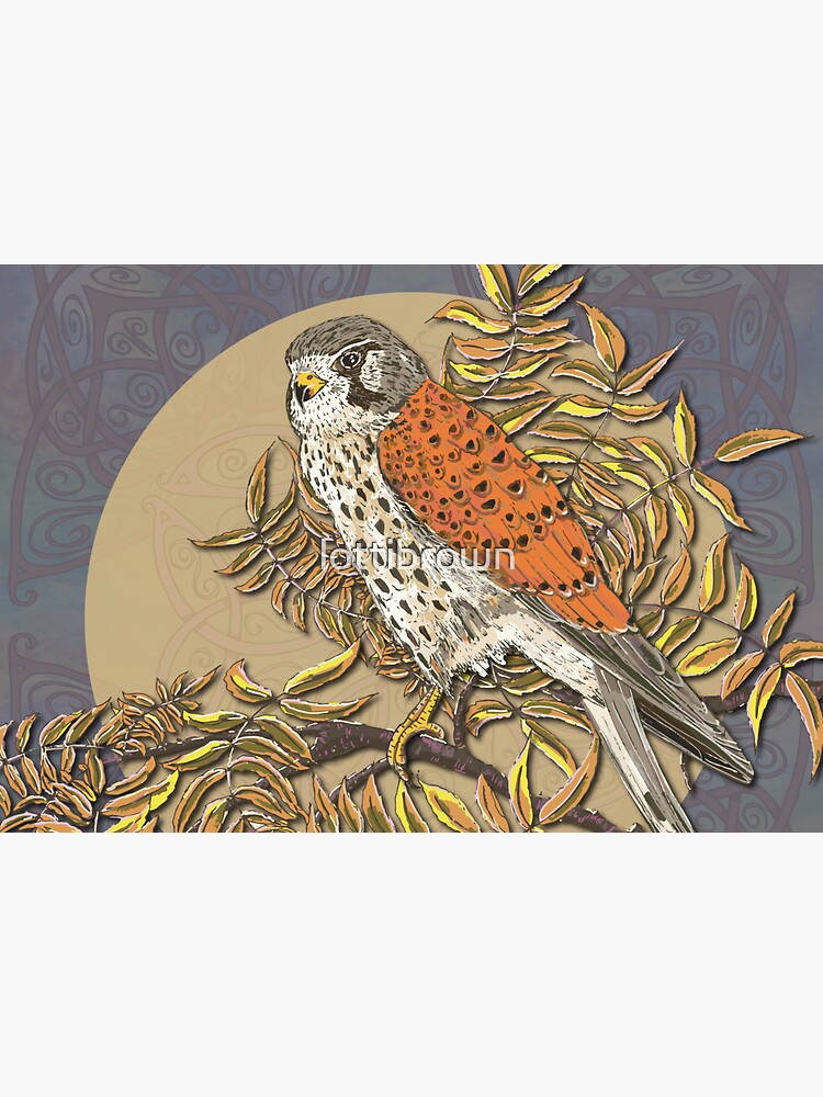 Celtic Kestrel by lottibrown