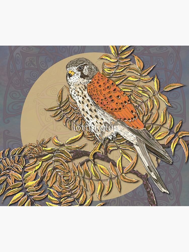 Celtic Kestrel by lottibrown