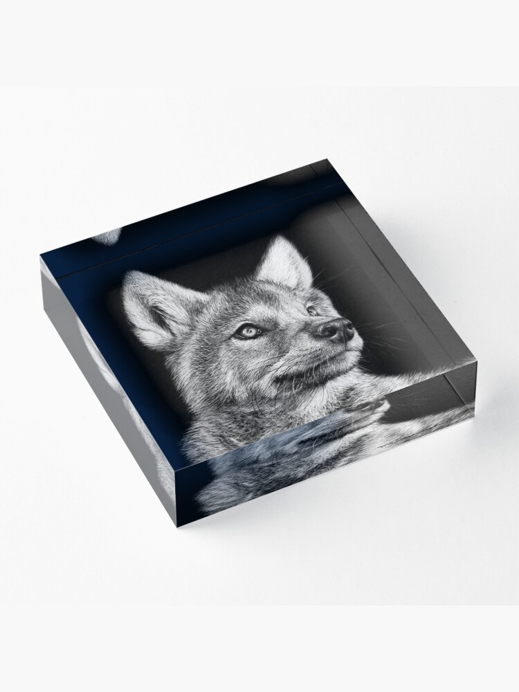 Alternate view of Wolf Pup Black and White Art Acrylic Block