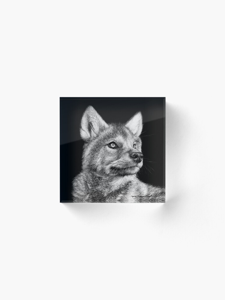 Alternate view of Wolf Pup Black and White Art Acrylic Block