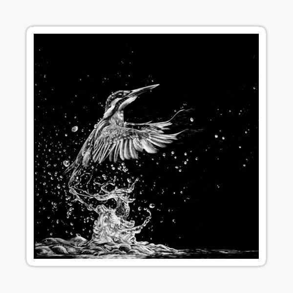 Kingfisher Black and White Art Sticker