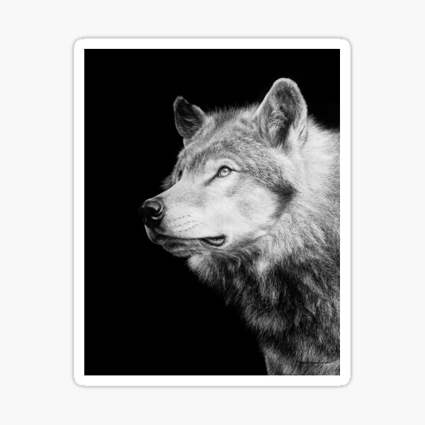 Timberwolf Black and White Artwork Sticker