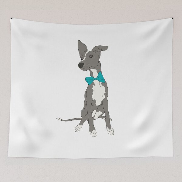 Item preview, Cute Grey Italian Greyhound with bright teal bow designed and sold by ThisIggyLife.