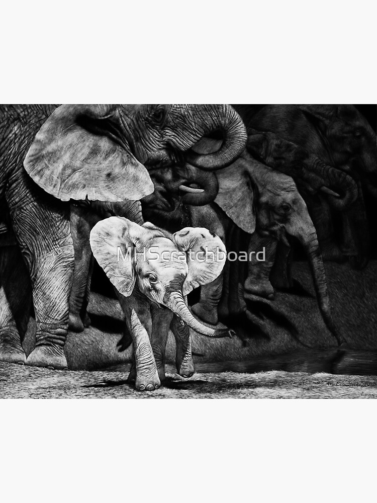 "Baby African Elephant with Herd" Sticker by MHScratchboard | Redbubble