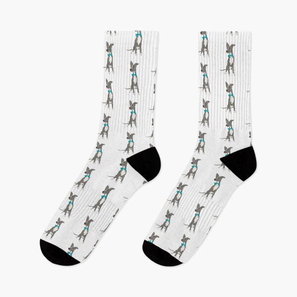 Item preview, Cute Grey Italian Greyhound with bright teal bow designed and sold by ThisIggyLife.