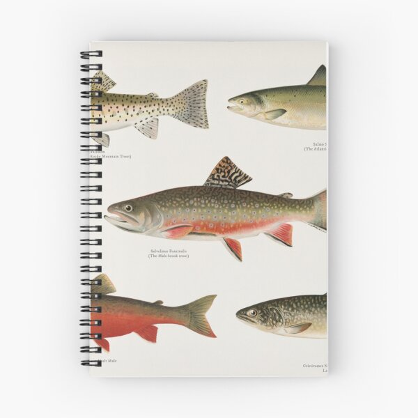 Item preview, Salmon And Trout designed and sold by BlueSpecsStudio.