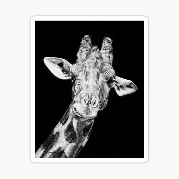 Giraffe Black and White Artwork Sticker