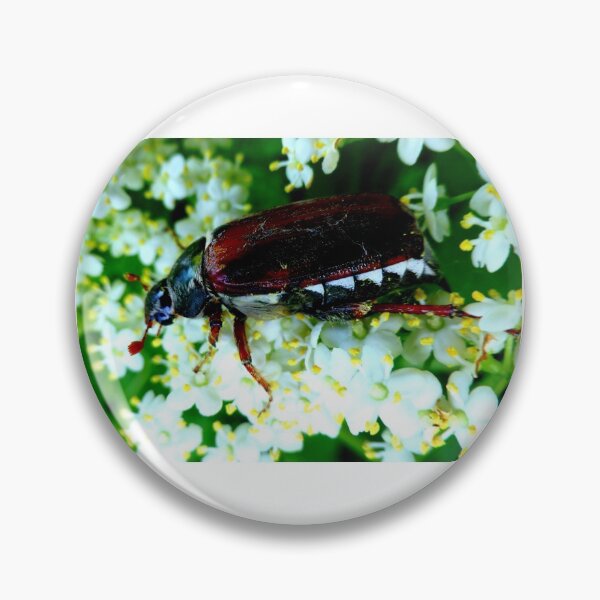 Item preview, May beetle on elderflowers designed and sold by angel1.