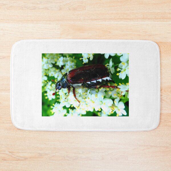Item preview, May beetle on elderflowers designed and sold by angel1.