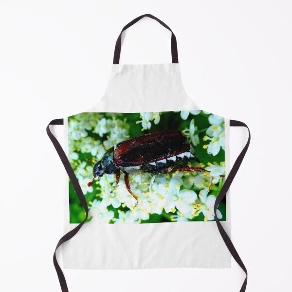 Item preview, May beetle on elderflowers designed and sold by angel1.
