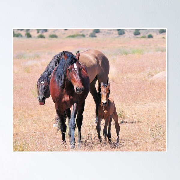 Item preview, Newborn Foal's First Steps designed and sold by Kelly Jay.