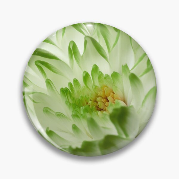 Item preview, Chrysanths White and green 2 designed and sold by Jouko Lehto Photography.