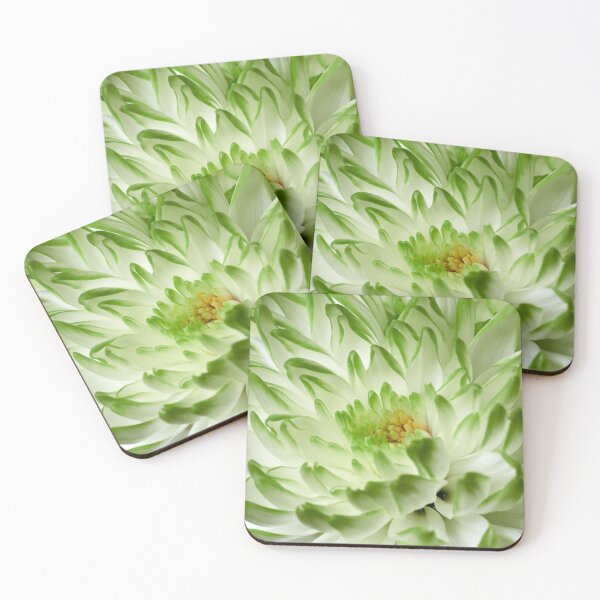 Item preview, Chrysanths White and green 2 designed and sold by Jouko Lehto Photography.